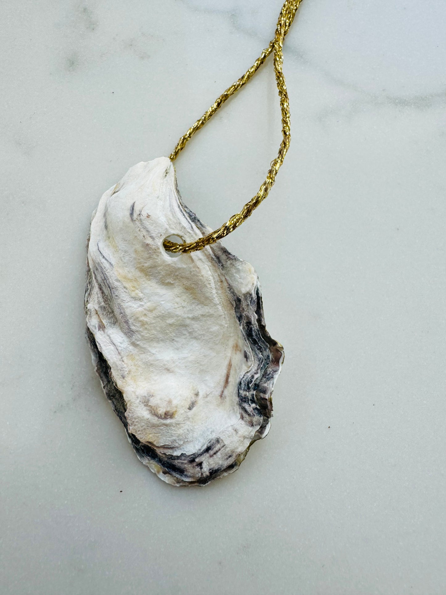 Palm Tree on Oyster Shell