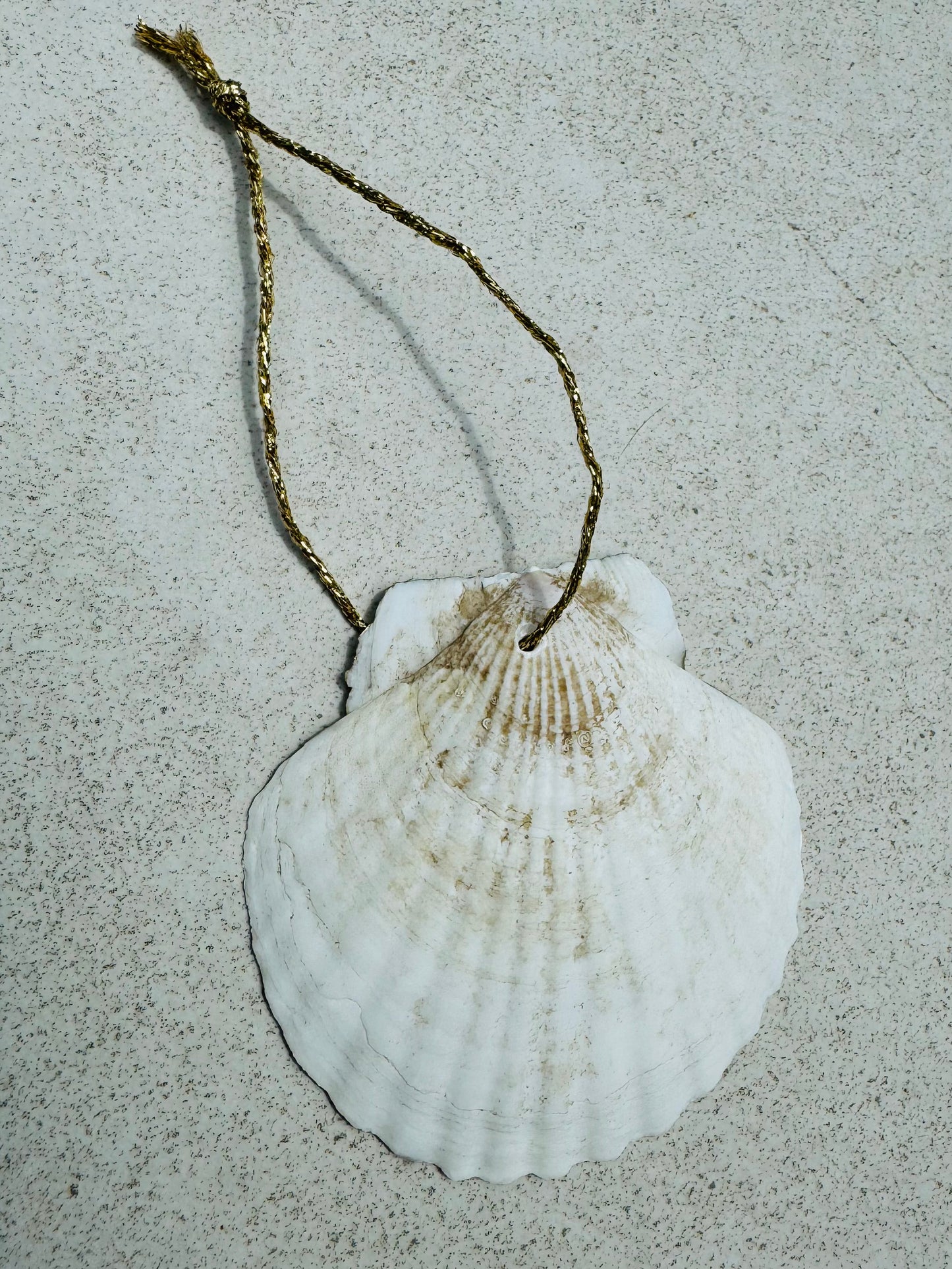 Golf Cart Shell Ornament