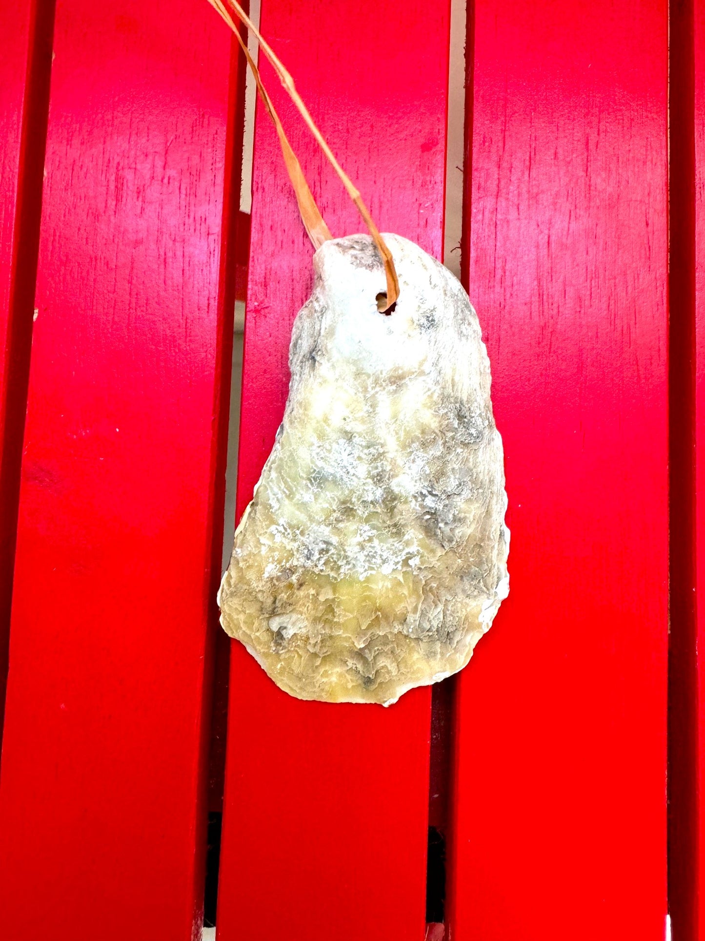 White Dots Oyster Ornament