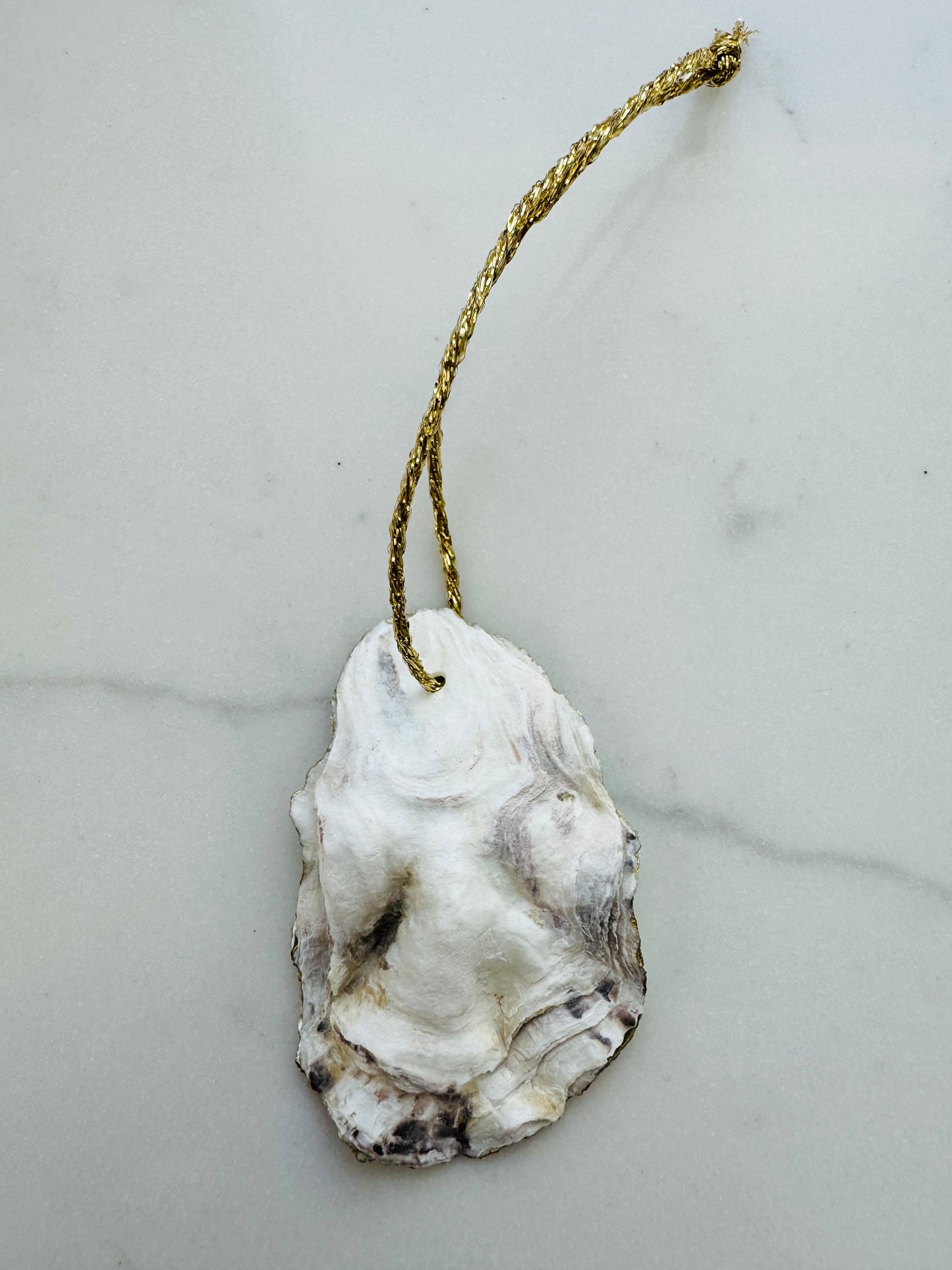 Parrot Bird Ornament on Oyster Shell