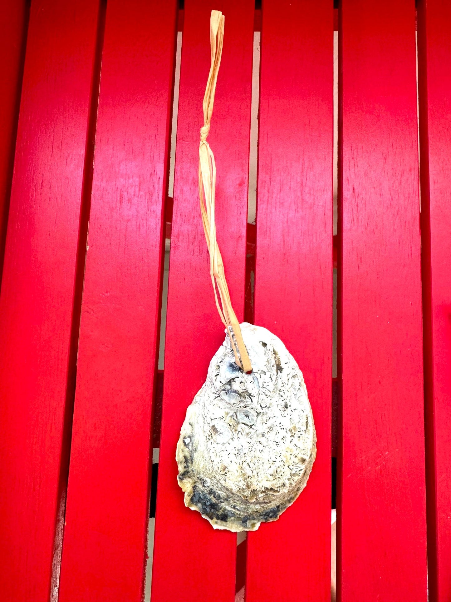 Green and Red Boxy Oyster Ornament