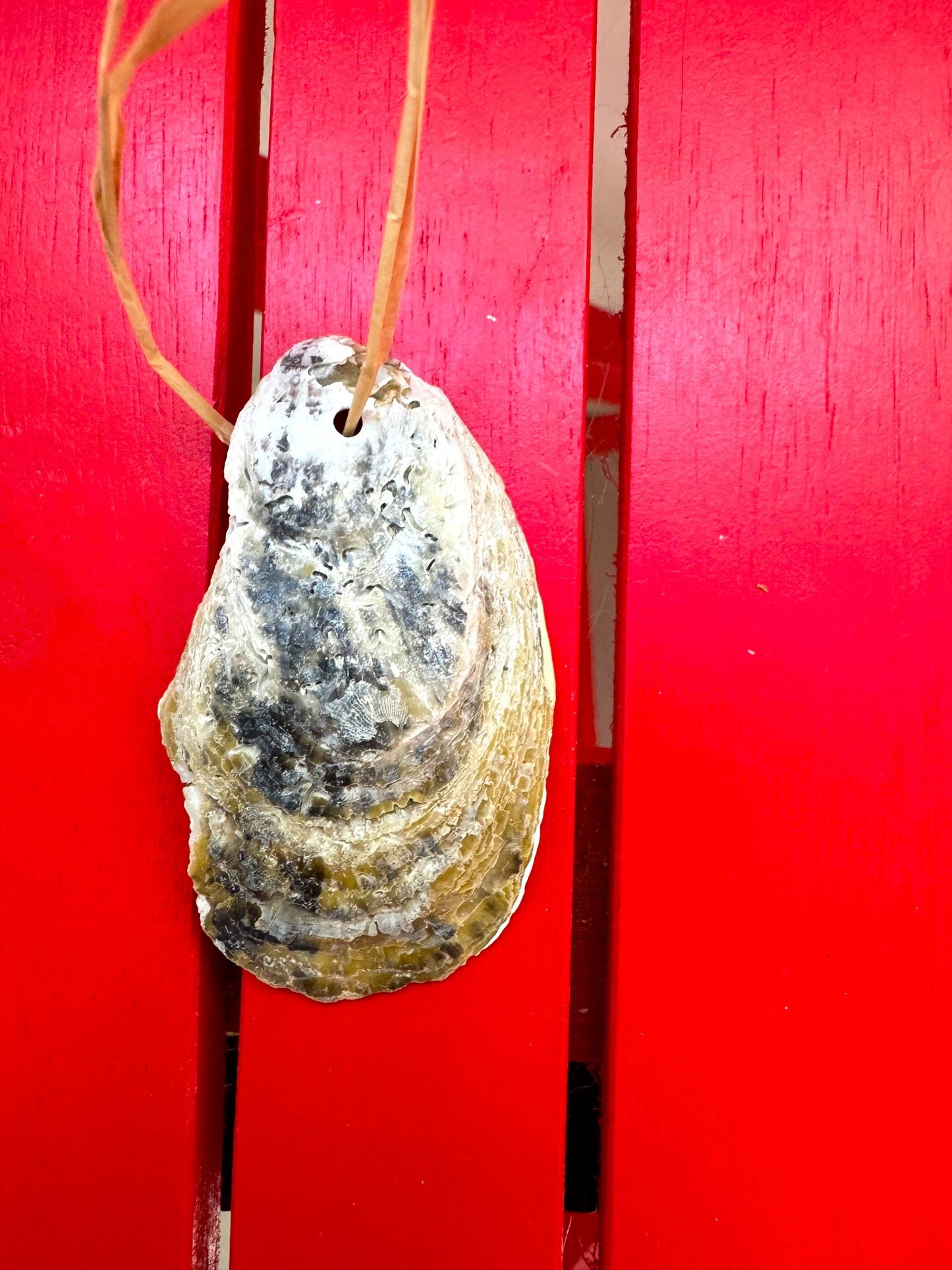 Blue and Green Double Oyster Ornament