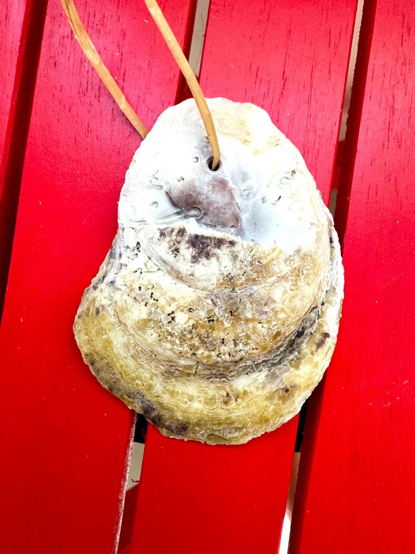 Candy Cane Stripe Oyster Ornament