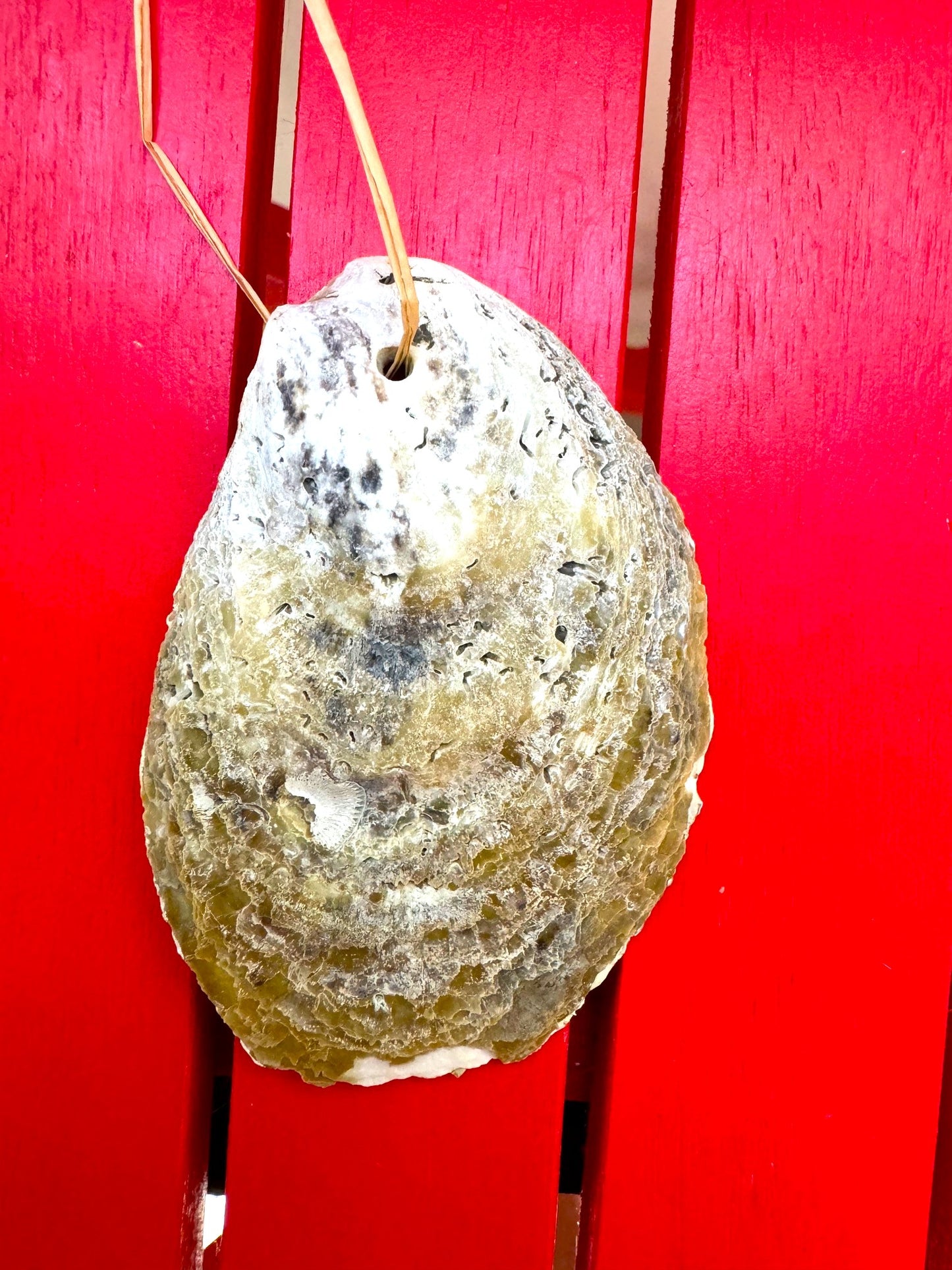 Blue and Red Double Oyster Ornament