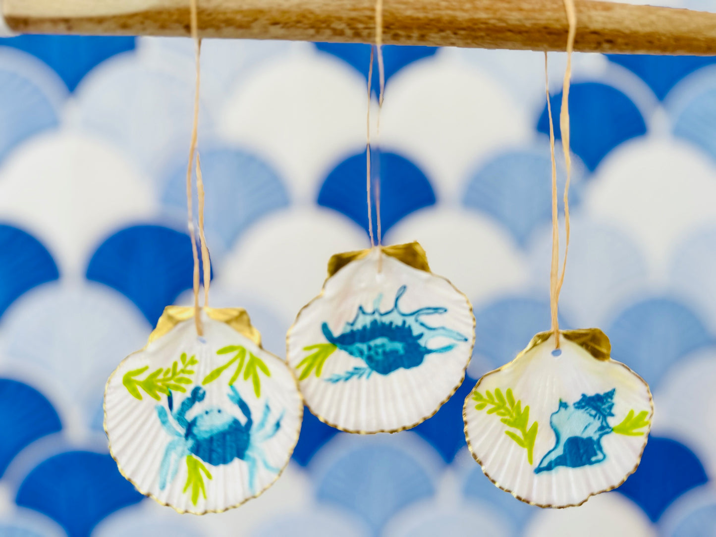 Blue & Green Shells - Set of 3