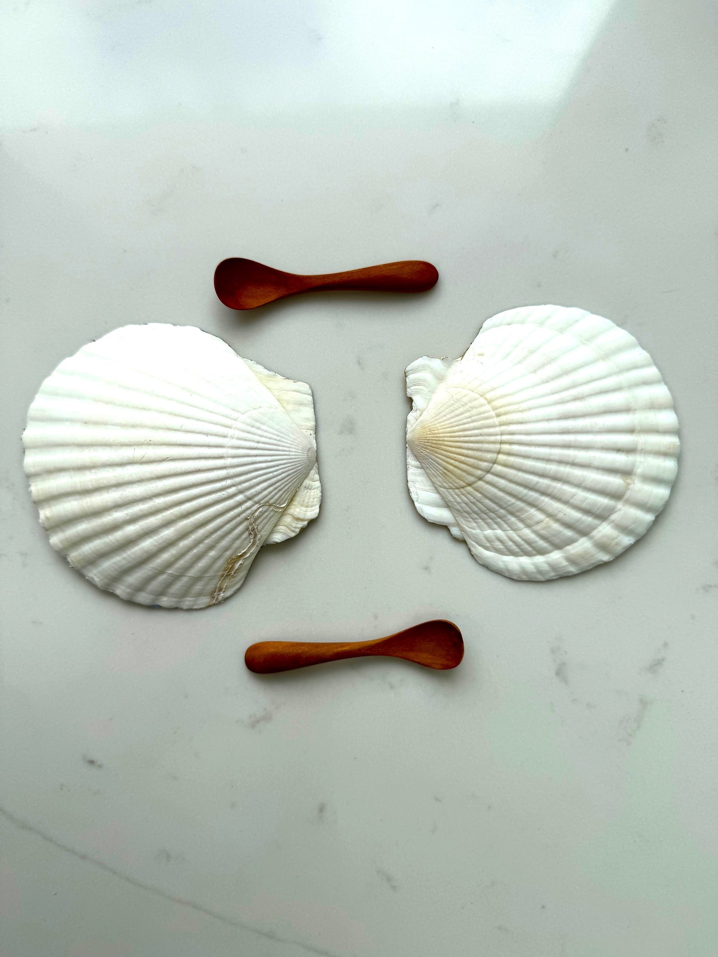 Blue Shells Salt & Pepper Dishes