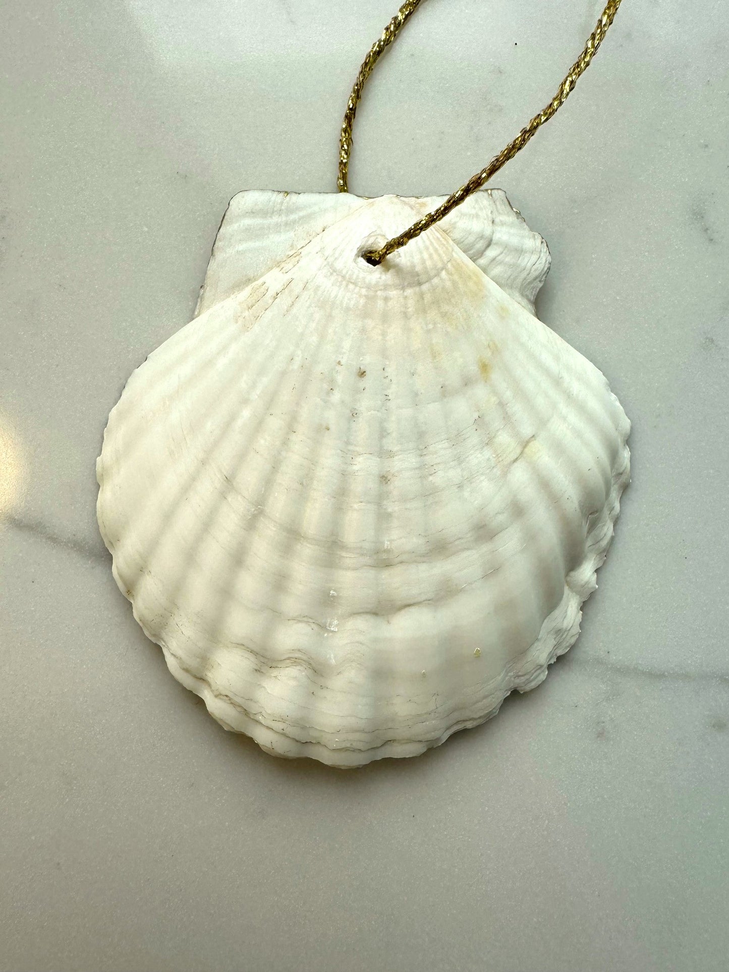 Blue and White Whelk Ornament