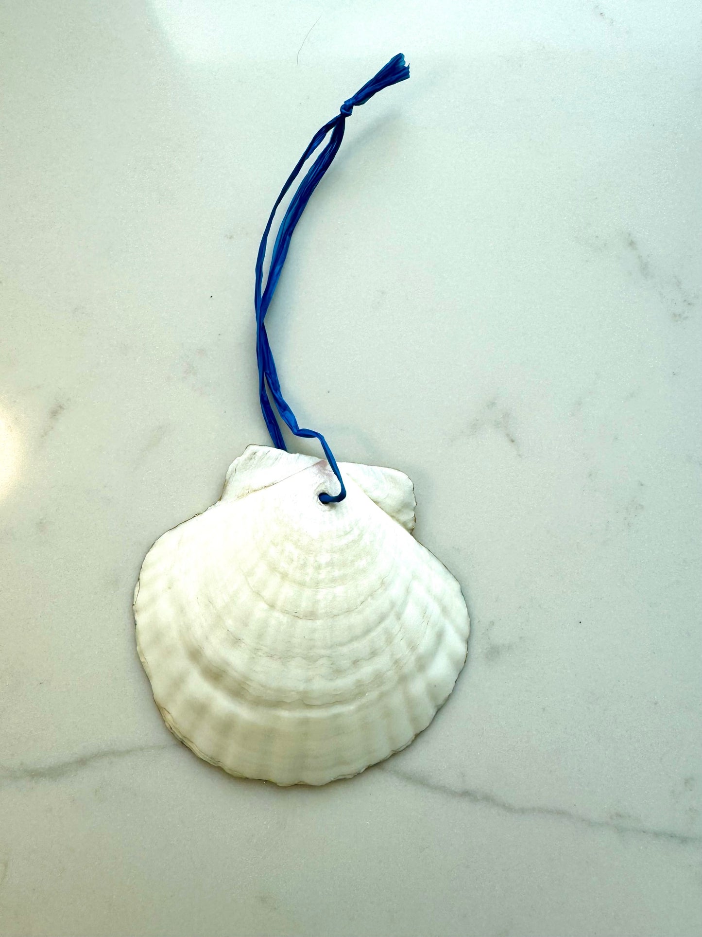 Pickleball Bag Ornament (Blue Background)